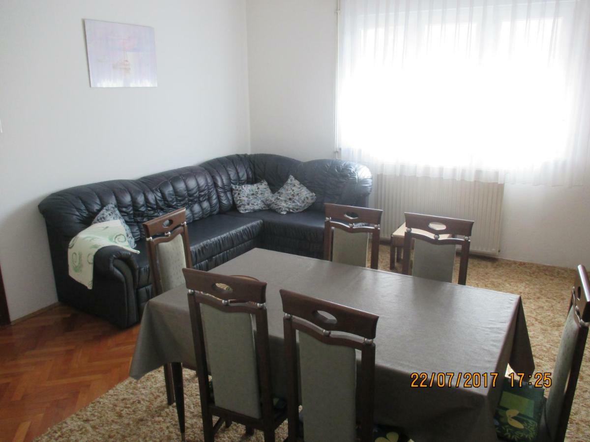 Apartments Sandra Novigrad  Zewnętrze zdjęcie