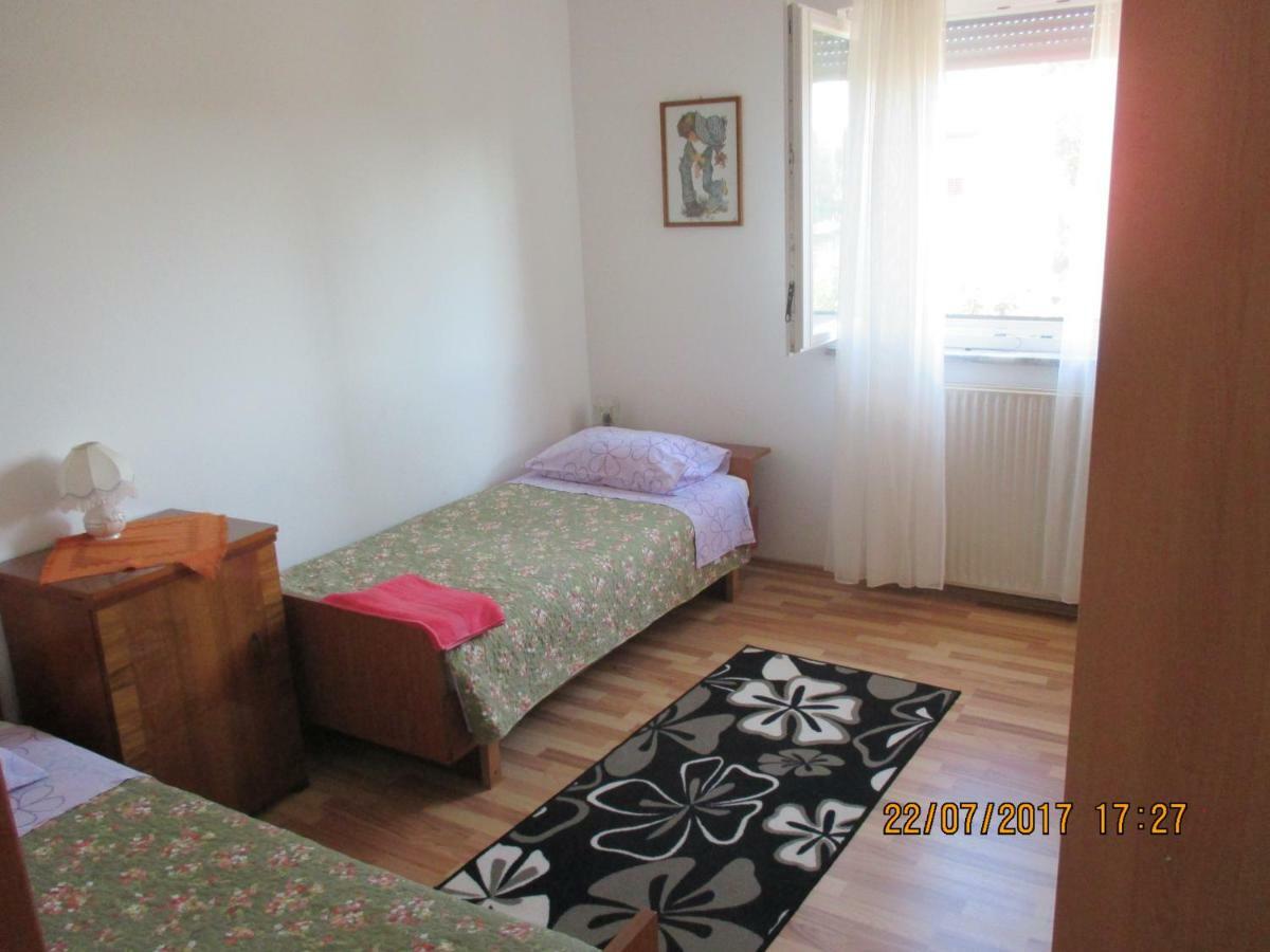 Apartments Sandra Novigrad  Zewnętrze zdjęcie